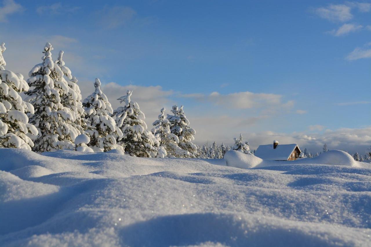 Gaesthus Nornaes Bed and Breakfast Εξωτερικό φωτογραφία